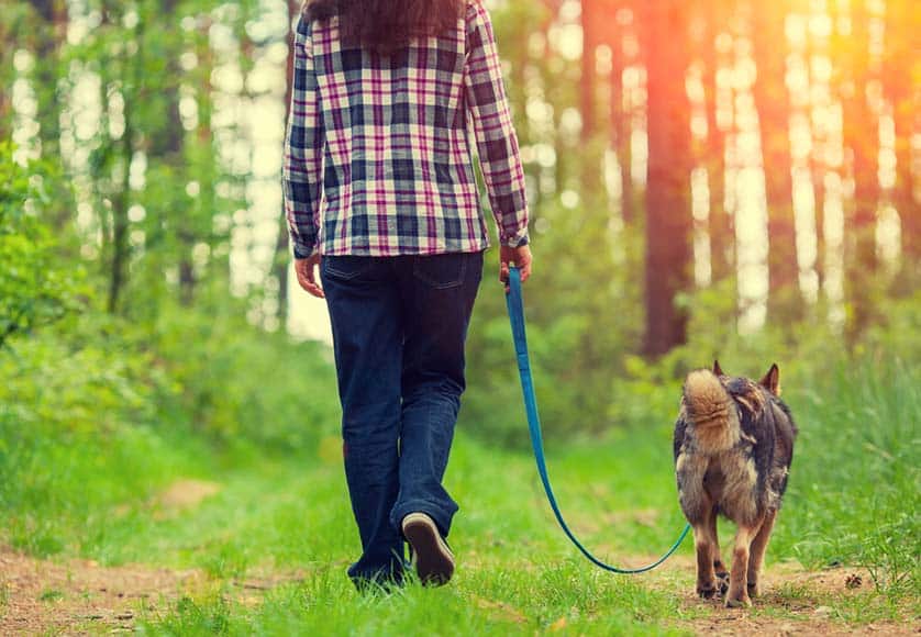 Dog walker