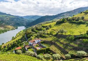Douro wine exporters see cancelled orders even before US tariffs hit