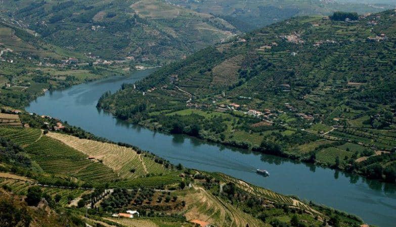 Lithium mines ‘would threaten quality of Douro world heritage wines’