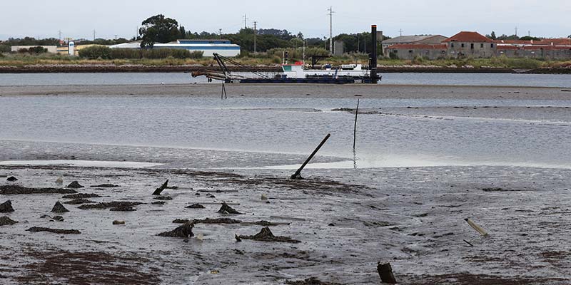 Shipwreck ‘hunters’ discover Portugal’s first prehistoric underwater site