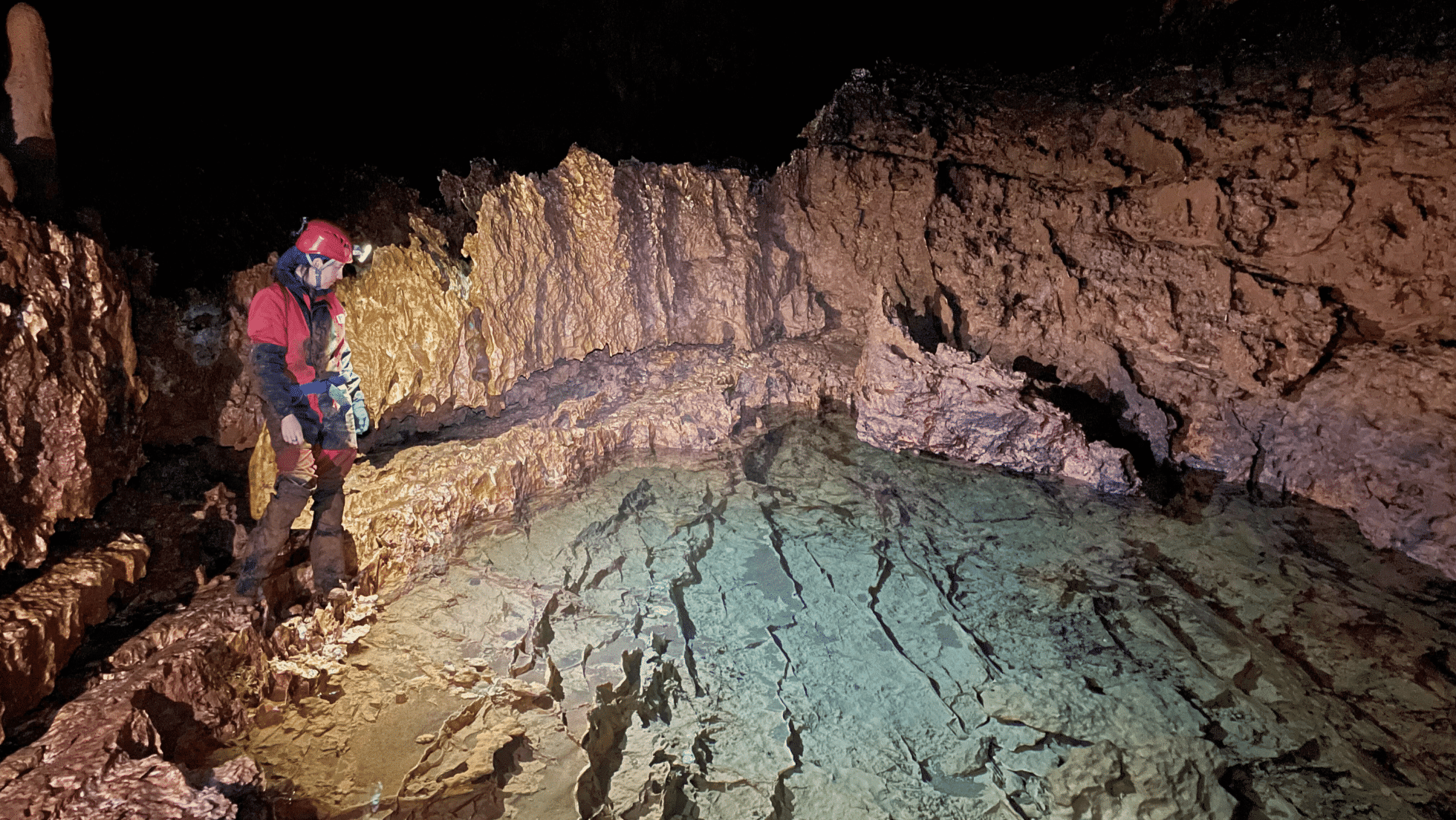 Ana Sofia Reboleira is a researcher / Speleologist that has already discovered countless 'new species' in the underground world she studies (https://www.portugalresident.com/portugals-cave-woman-discovers-two-new-species/)