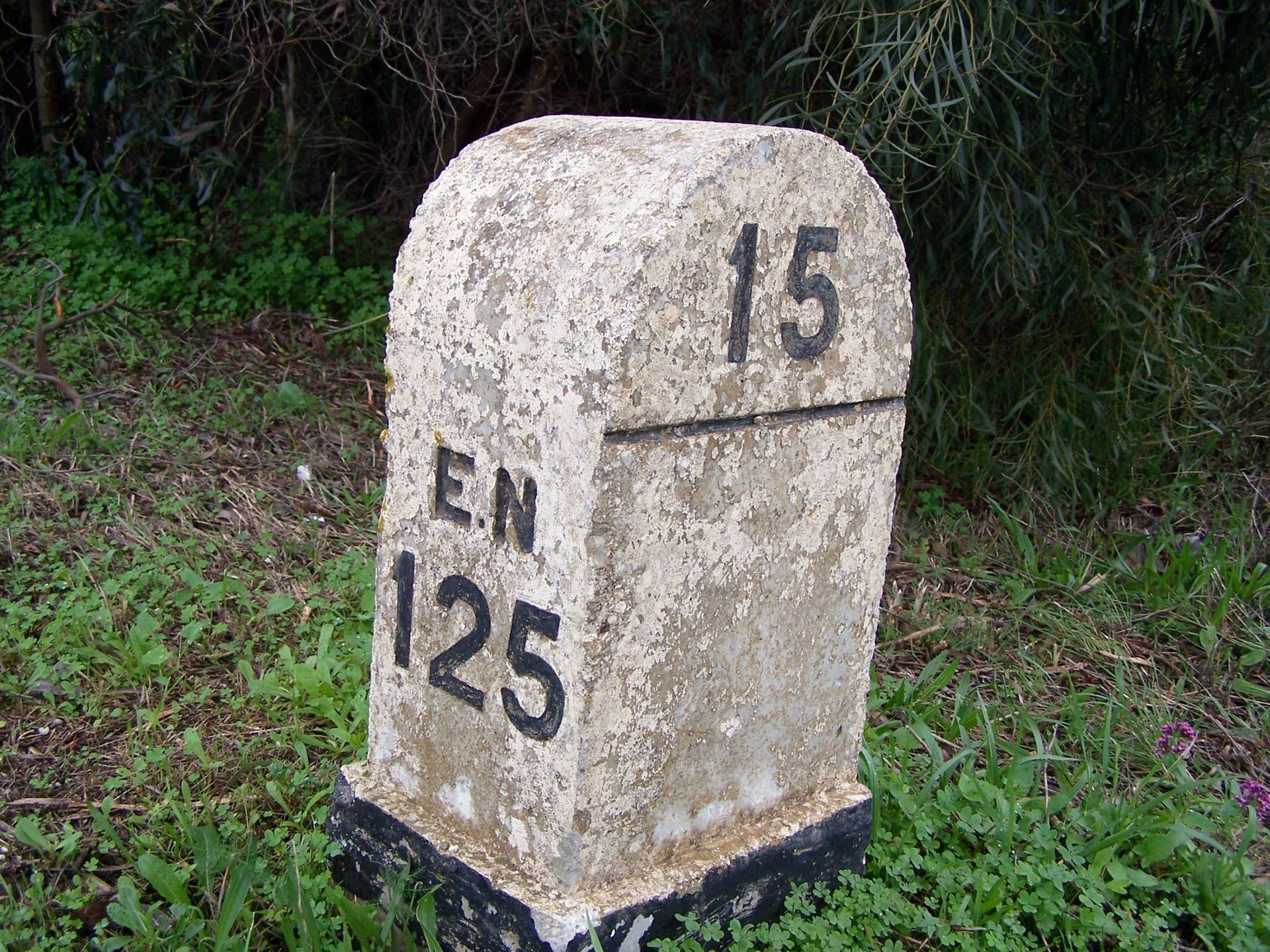 en-125.jpg