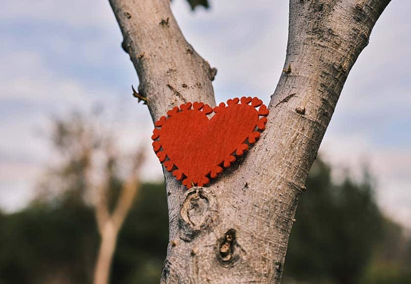 tree with heart