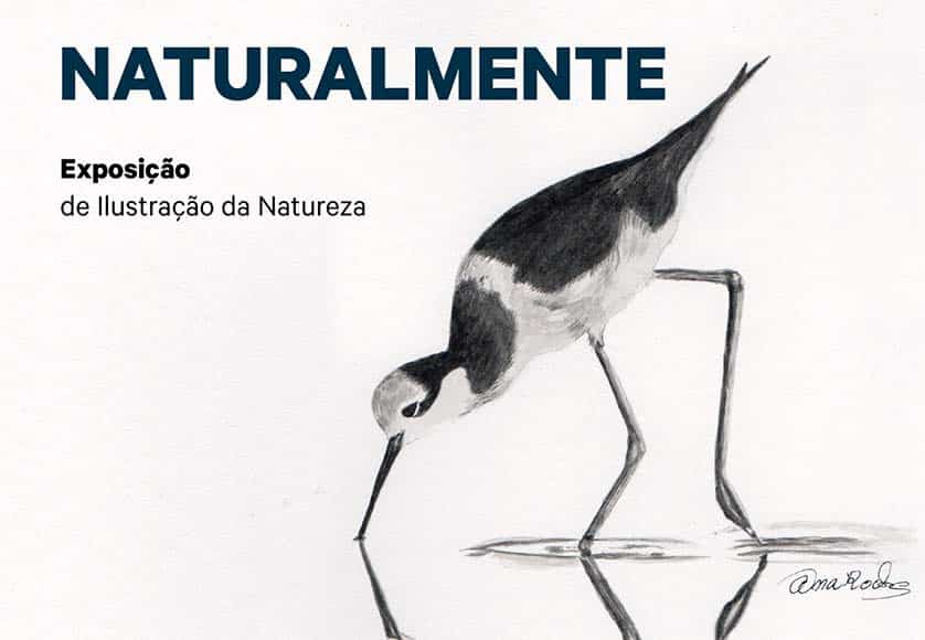 “Beauty of natural world” inspires new Lagoa art exhibition