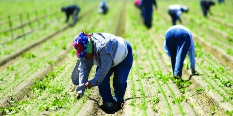 farm_workers.jpg