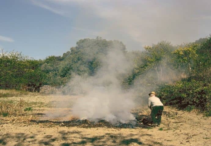 farmer_burning_land.jpg