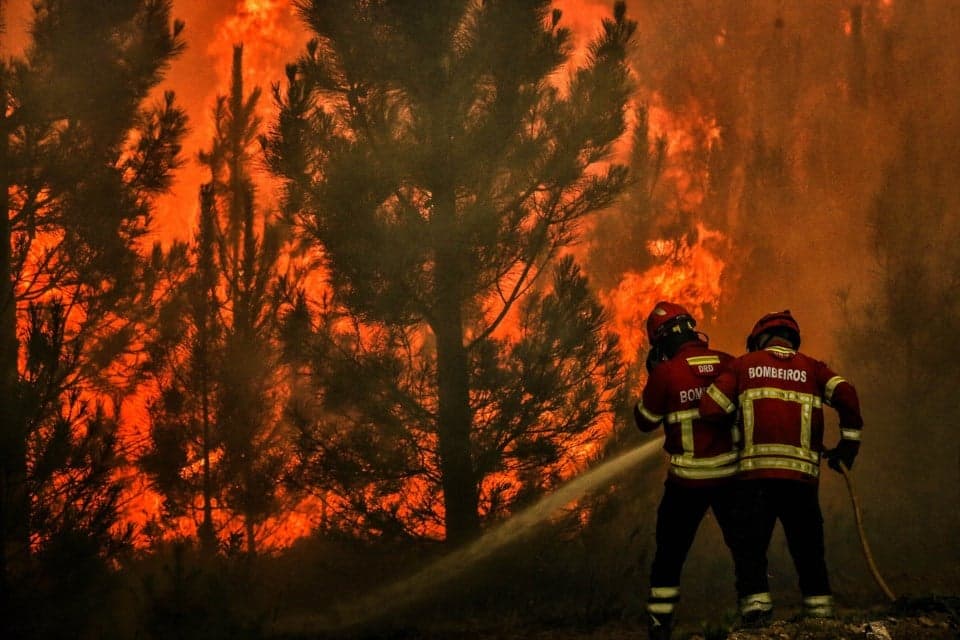 Leiria firefighters excluded from Summer's rural firefighting response