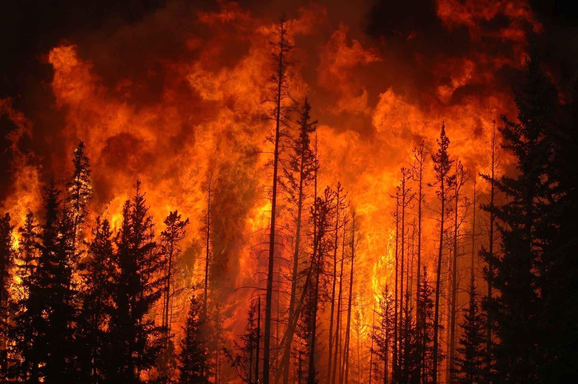 fire_risk.jpg