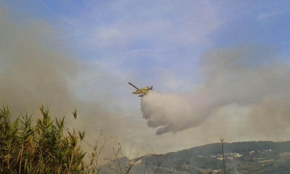 firefighting_plane_in_action.jpg