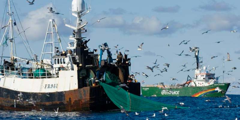 Fishing drama: 95% of trawl fleet redundant