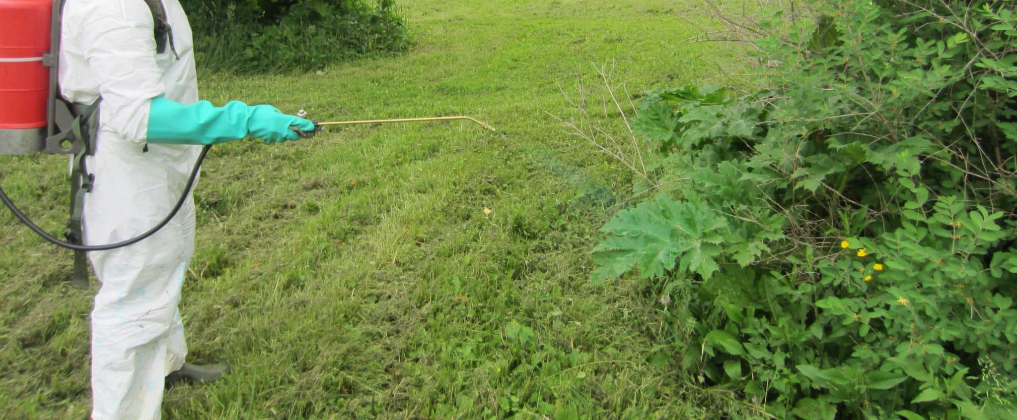 Azores lifts total ban on glyphosate herbicides