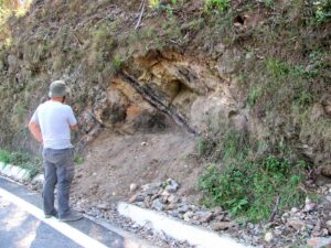 300 million year old fossil of extinct plant found in centre region