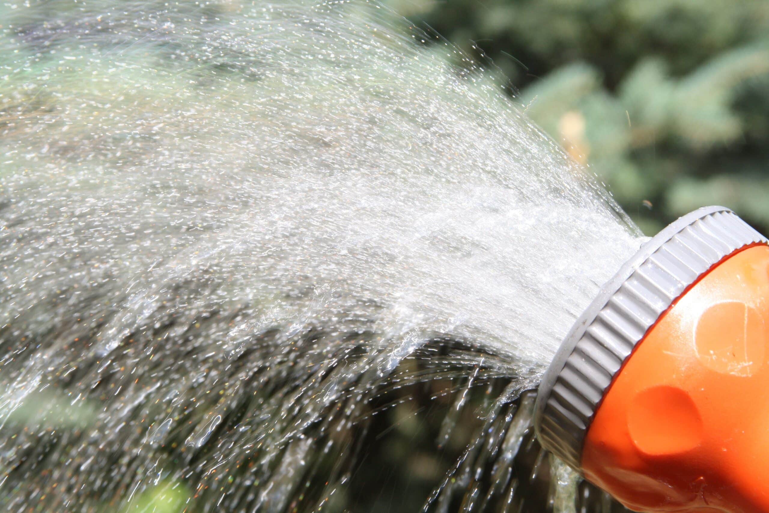 Algarve farmers demand same water cuts for all