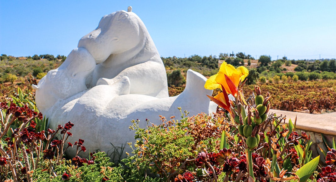 garden-vineyard-wedding-quinta-vales|outdoor-wedding-winery-quinta-vales|Wine-barrel-red-wine-Quinta-dos-Vales|winery-wedding-Algarve-vineyard view-Quinta-Vales