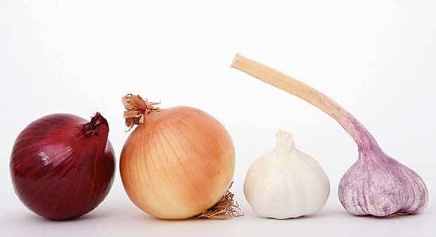 garlic_and_onion.jpg