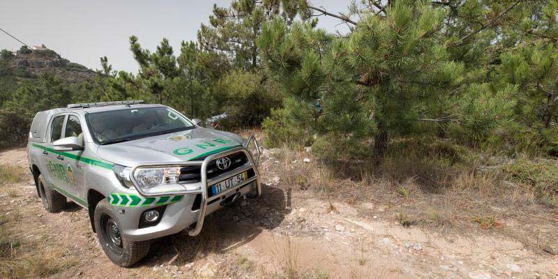 WhatsApp ‘saves’ four tourists lost in Gerês national park