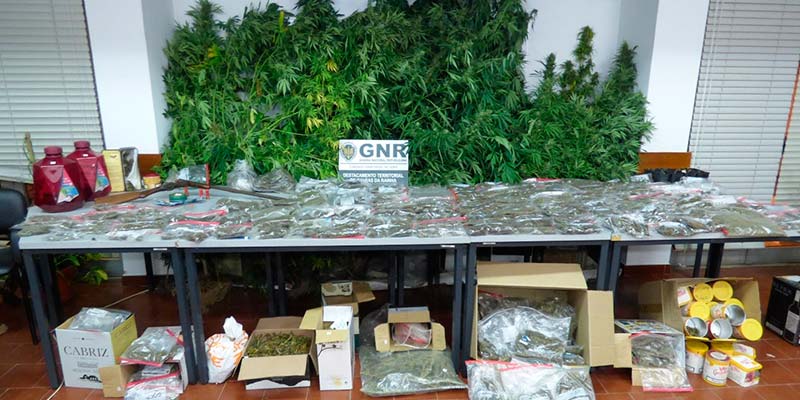 Fire-watch ‘vigilance’ surprises drug-traffickers