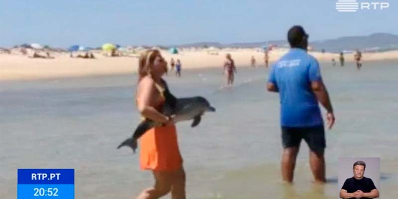 Baby dolphin rescued in Ria Formosa