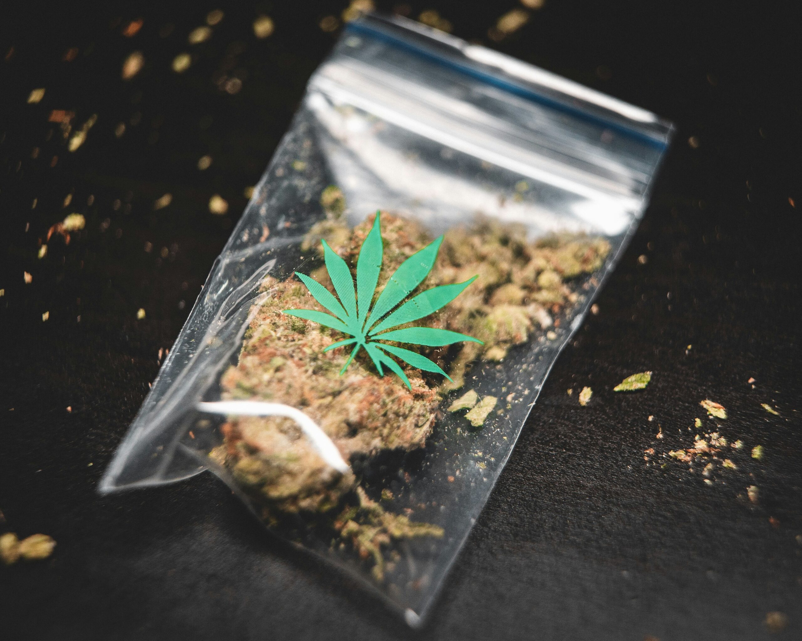 Man arrested for drug dealing in Carvoeiro|gras-grun-iCHacuW8BcI-unsplash