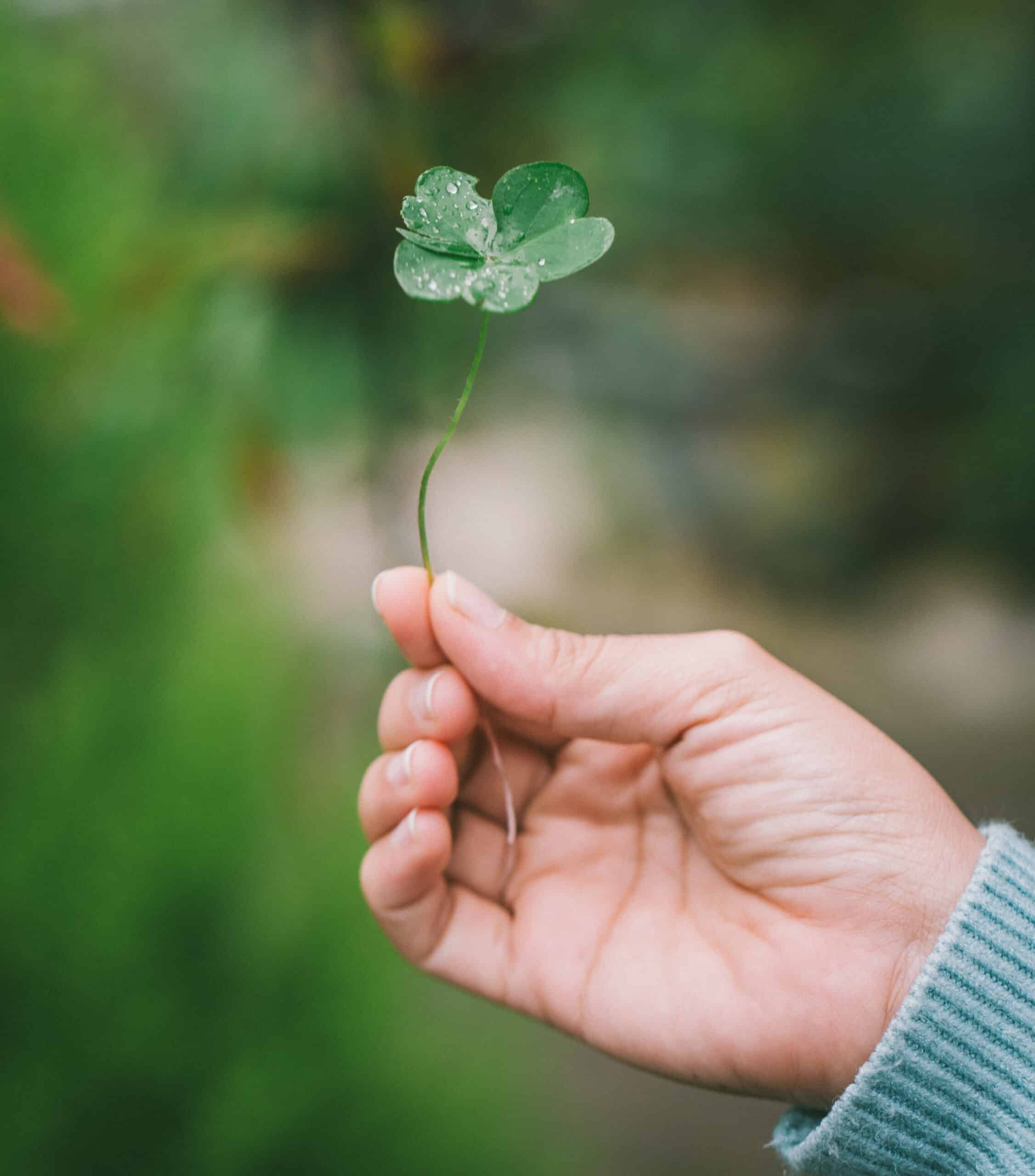 hand holding a small flower