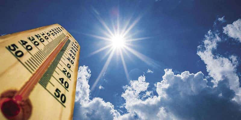 The silly season… or… the dog days of summer
