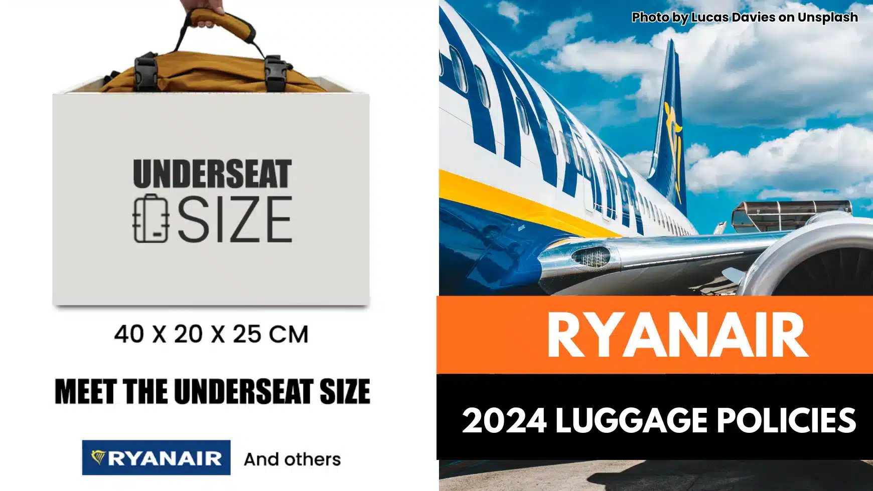 Ryanair condemned for charging additional fees for cabin bags