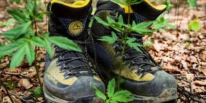 First Walk & Art Fest attracts 500