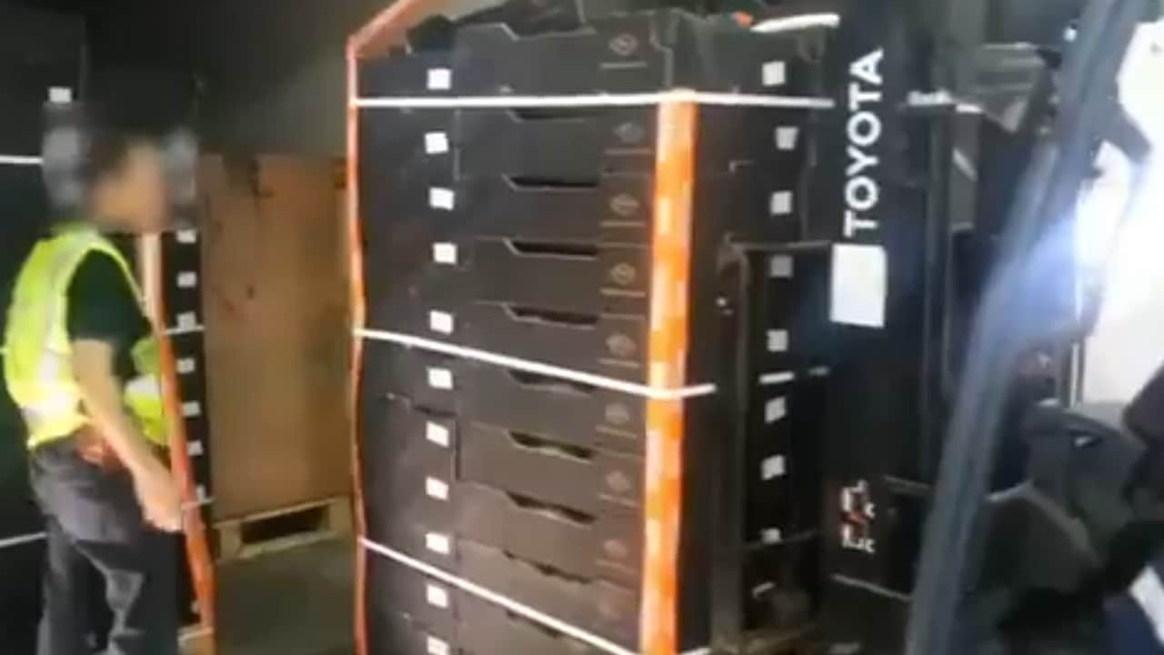 Drus bust of 628 kilos of cocaine hidden in melons