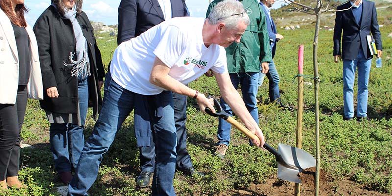 Ryanair boss Michael O’Leary in Monchique to donate €250,000 towards reforestation project