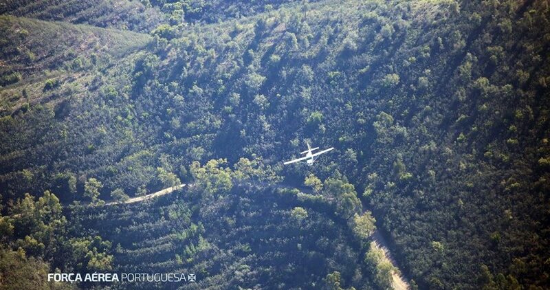 Drug flights ‘change route’ dropping hashish in Alentejo