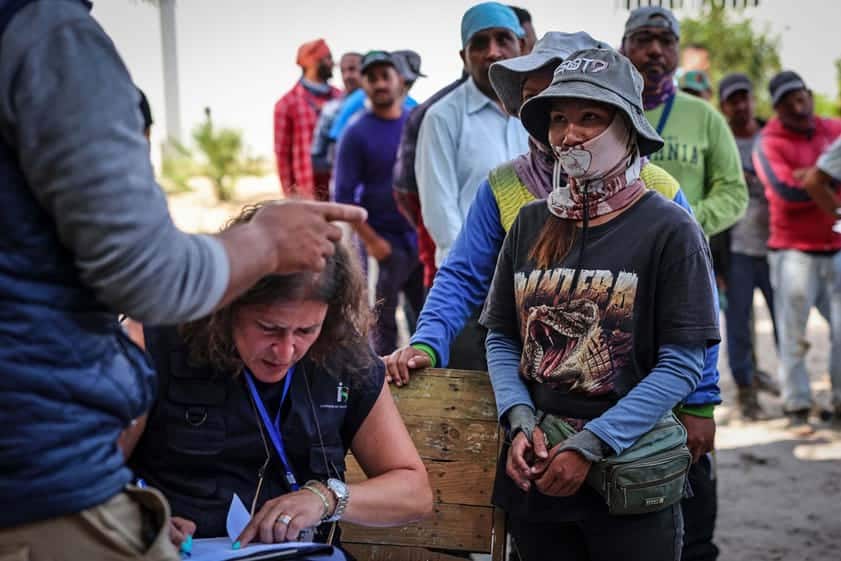 Photos taken this week by Lusa's Nuno Veiga when ACT, the labour authority, conducted searches of undocumented migrants at the red berries business Amazing Promisse in Herdade Flor de Brejo, near Odemira