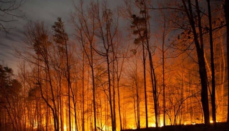 incendio-770x439_c.jpg