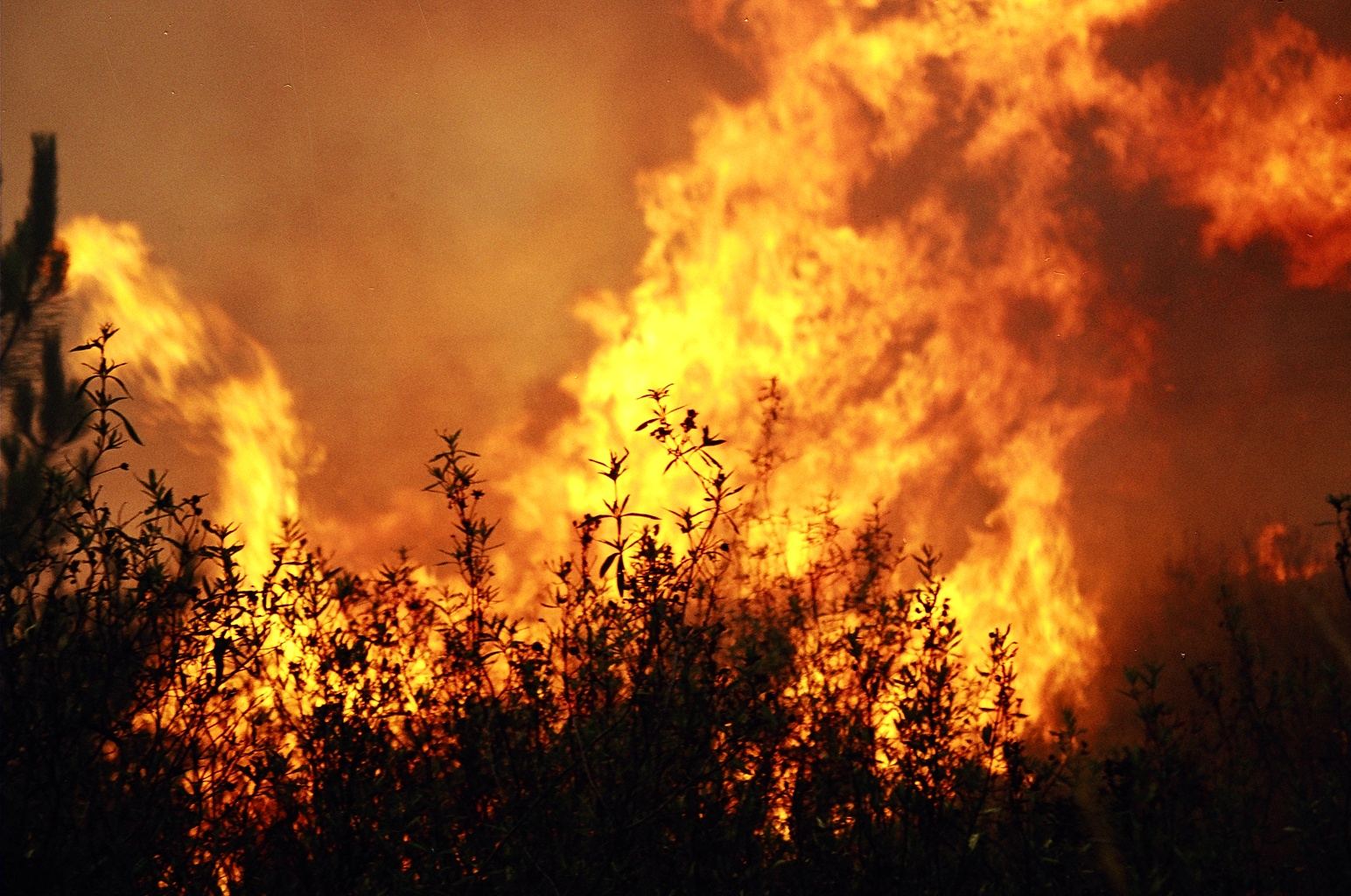 incendio.jpg