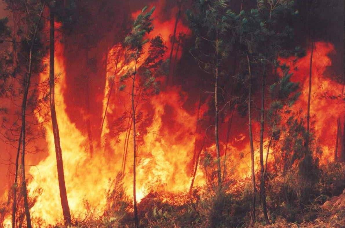 incendio.jpg