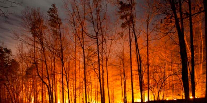 “Where’s the money going?” Accounts Court slates councils’ fire prevention ‘plans’