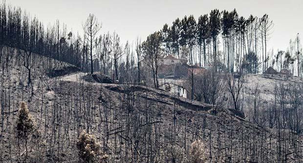 incendios.jpg