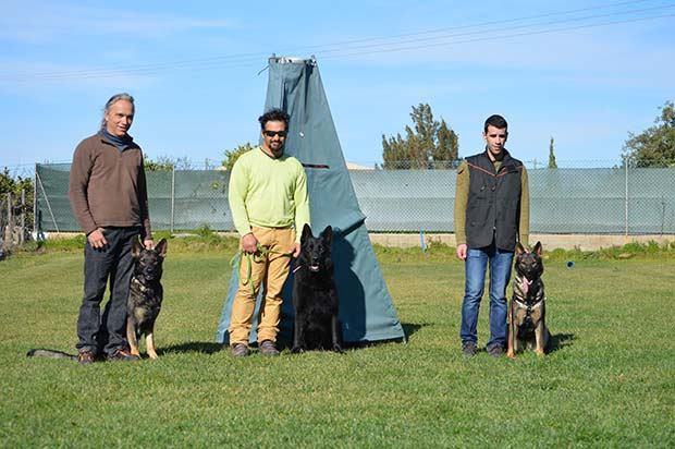 iron-dog-2.jpg