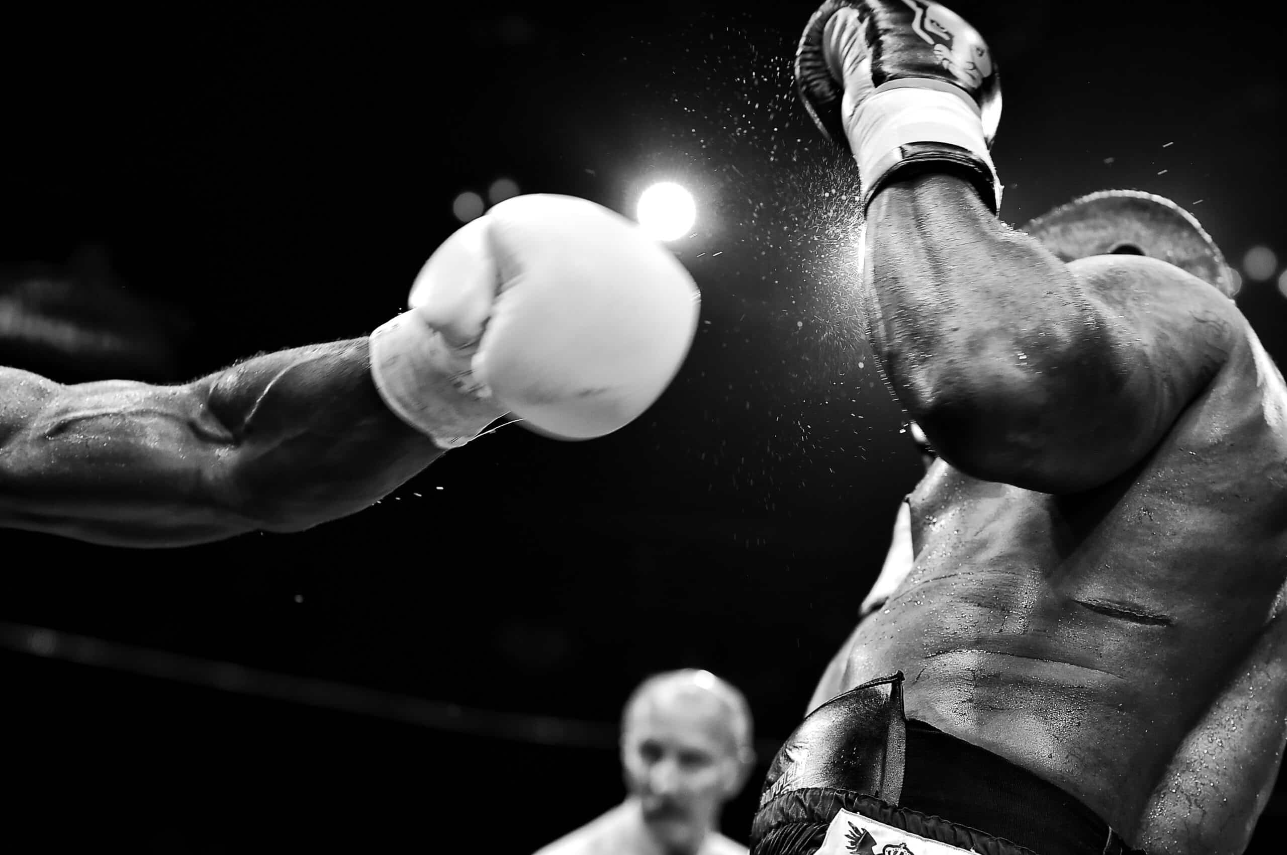 Elite boxers expected in Lagoa for Algarve Box Cup|Lagoa to host sixth Algarve Box Cup 2024