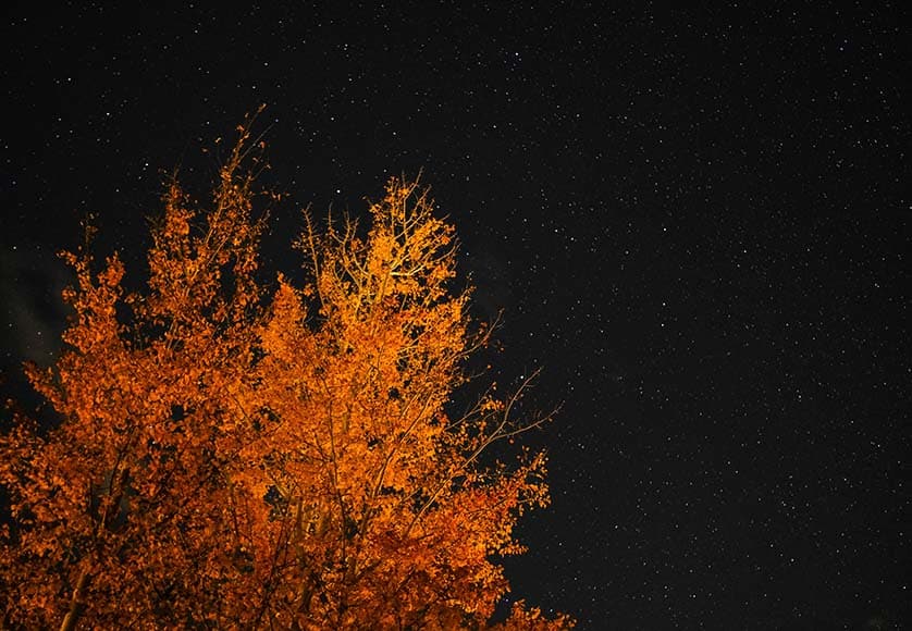 night sky
