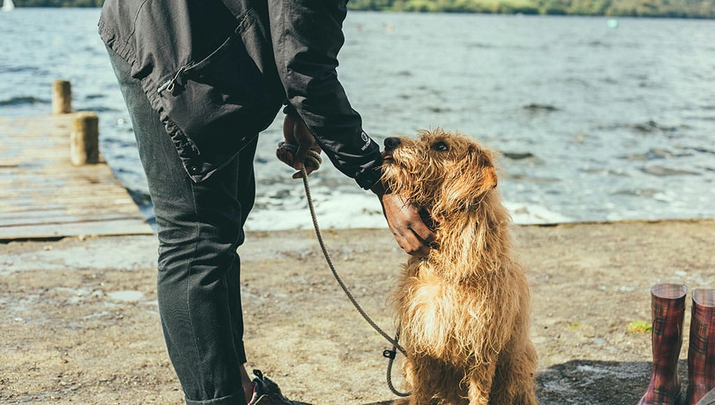 A very special bond - Photo: JOSEPH PEARSON/UNSPLASH|Silves charity shop|Quinta de Cima|Quinta de Cima|Quinta de Cima|Quinta de Cima|Quinta de Cima|Quinta de Cima|Quinta de Cima|Quinta de Cima|Quinta de Cima