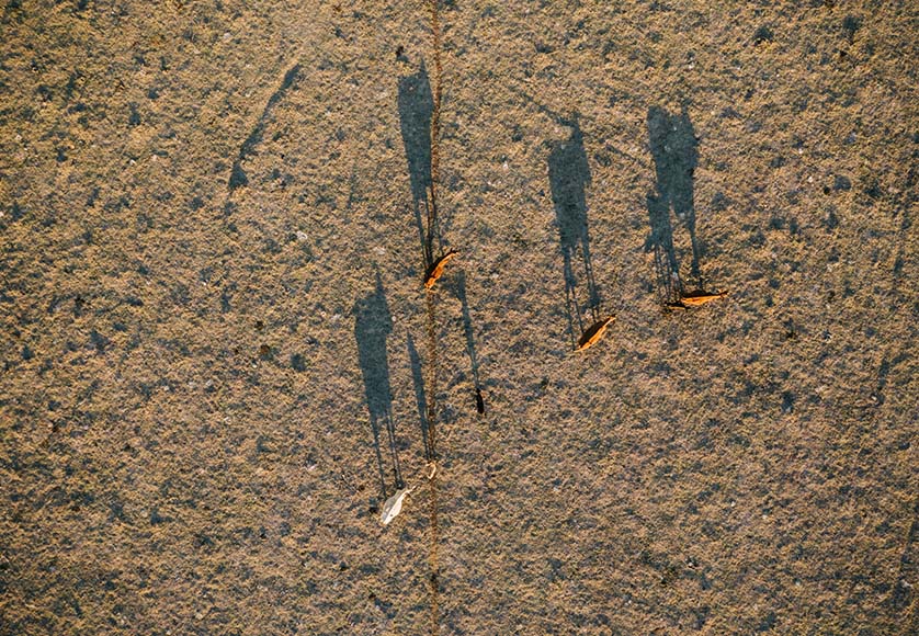 drought|DJI_0080-Barao-S-Joao-abacates-20200831-1068x601-1