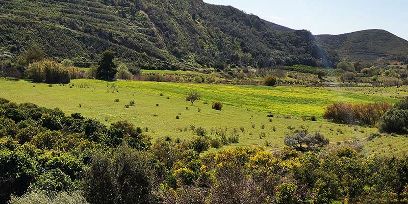 Photo of the Orange Eco Land where the Jovan Eco Hause New Life project is located