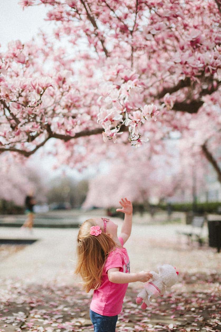 child looking up at tree