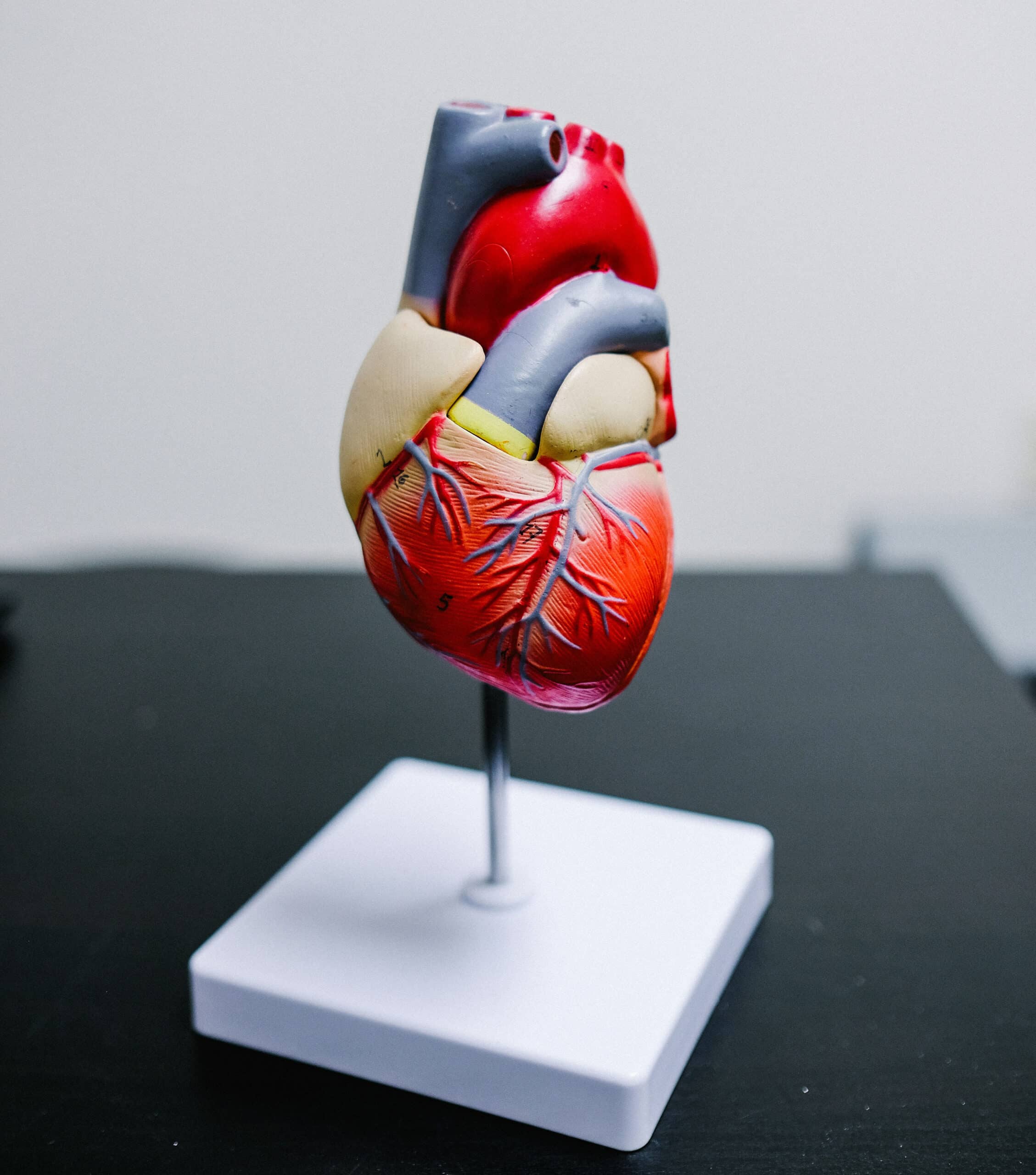 The big, fat cholesterol debate