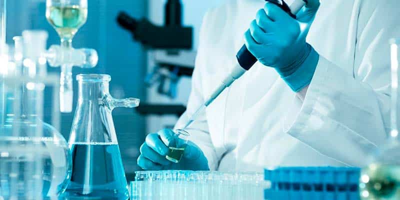 Ailing four-year-old ‘disease-free’ after ‘first ever transplant of its kind’ in Portugal