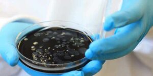 Portugal sees drop in cases of Legionnaires’ disease in northern region