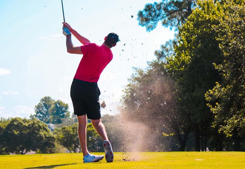 palying golf|Cat