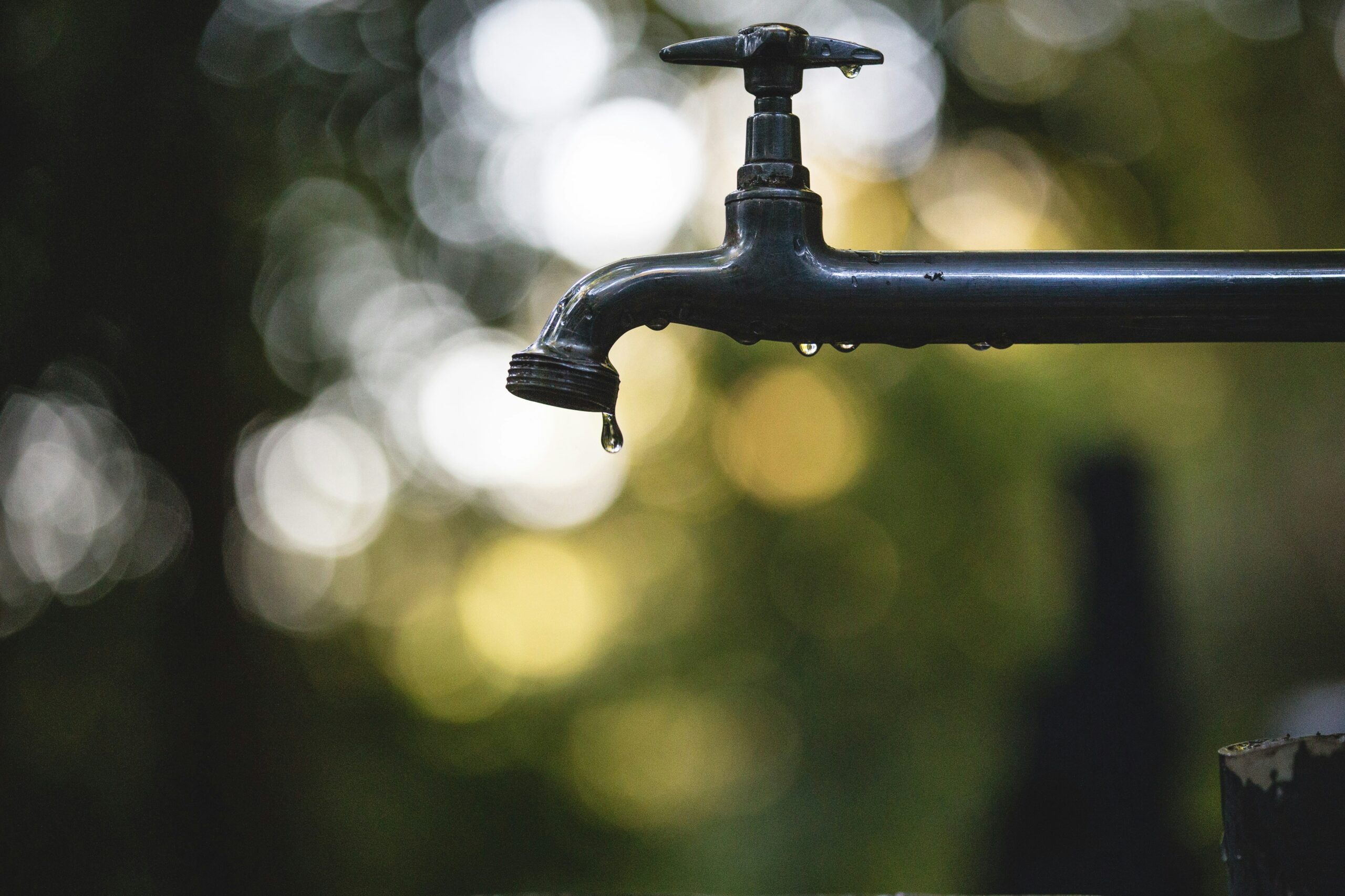 Algarve farmers propose per-person water limits