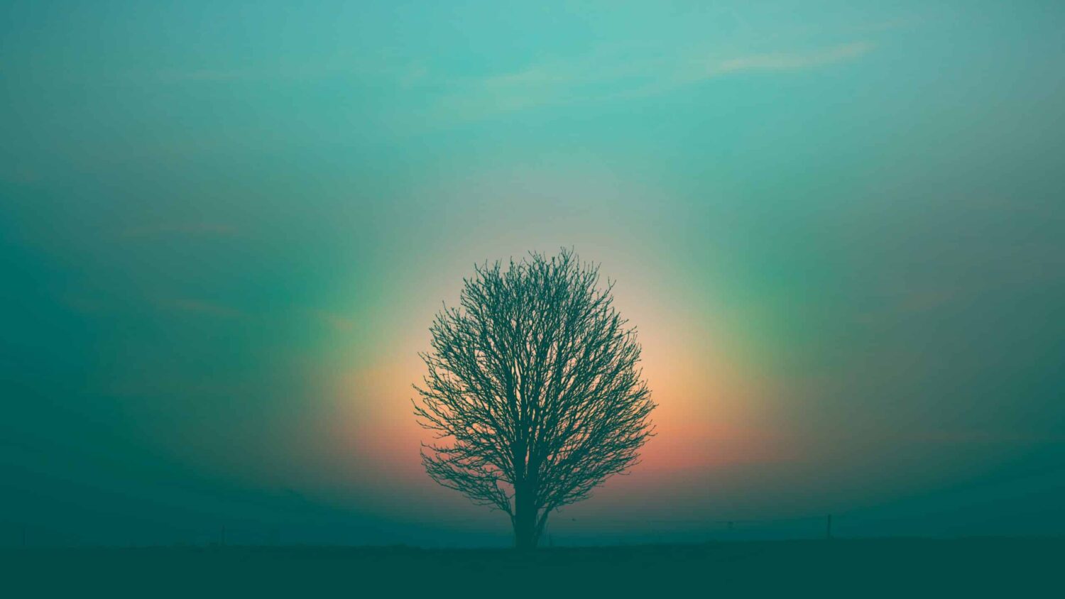 The grave offence of Artificial Resurrection