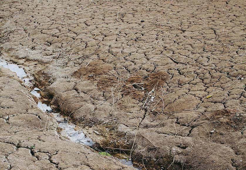drought